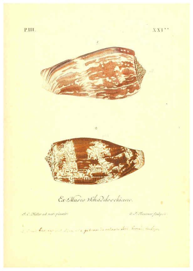 Reproducción/Reproduction 6096096199: Vergnügen der Augen und des Gemüths. v.2 atlas. [Nuremberg :1757