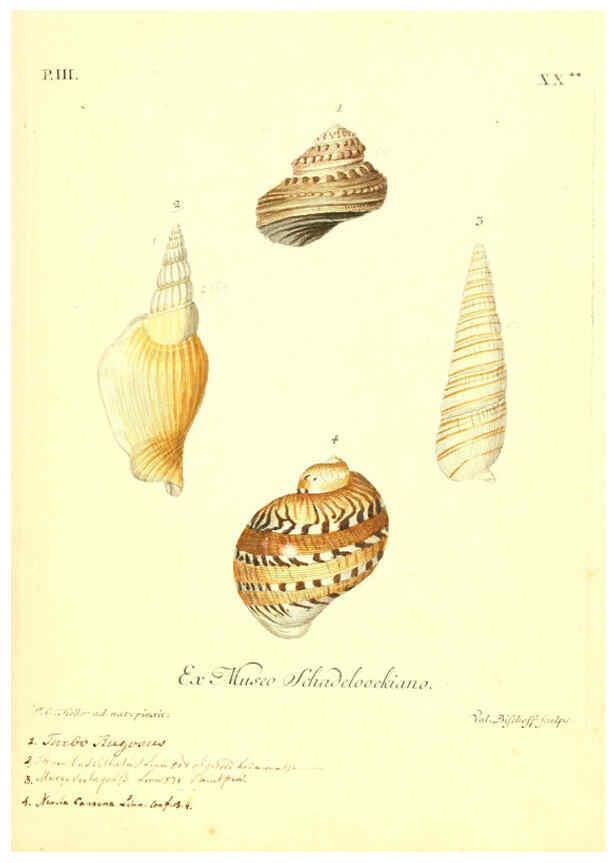 Reproducción/Reproduction 6096640478: Vergnügen der Augen und des Gemüths. v.2 atlas. [Nuremberg :1757