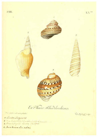 Reproducción/Reproduction 6096640478: Vergnügen der Augen und des Gemüths. v.2 atlas. [Nuremberg :1757