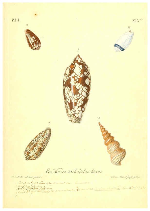 Reproducción/Reproduction 6096095679: Vergnügen der Augen und des Gemüths. v.2 atlas. [Nuremberg :1757
