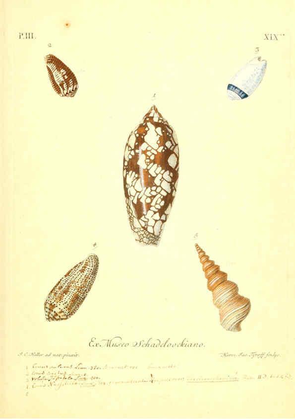 Reproducción/Reproduction 6096095679: Vergnügen der Augen und des Gemüths. v.2 atlas. [Nuremberg :1757