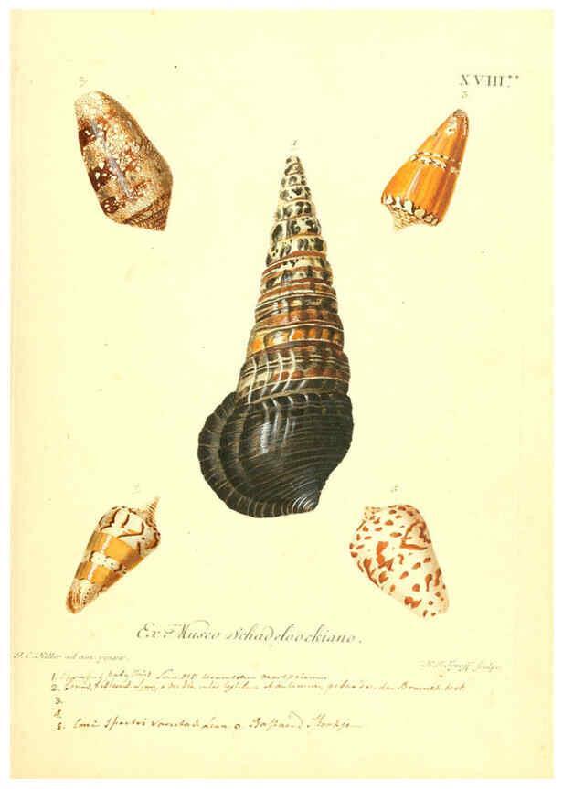 Reproducción/Reproduction 6096639970: Vergnügen der Augen und des Gemüths. v.2 atlas. [Nuremberg :1757