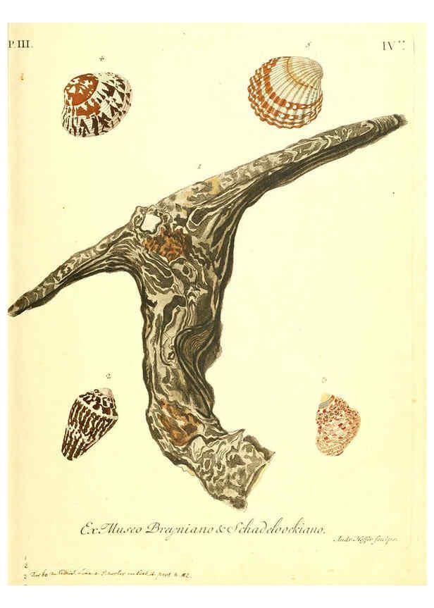 Reproducción/Reproduction 6096636086: Vergnügen der Augen und des Gemüths. v.2 atlas. [Nuremberg :1757