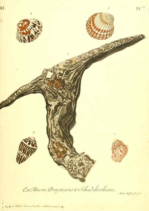 Reproducción/Reproduction 6096636086: Vergnügen der Augen und des Gemüths. v.2 atlas. [Nuremberg :1757