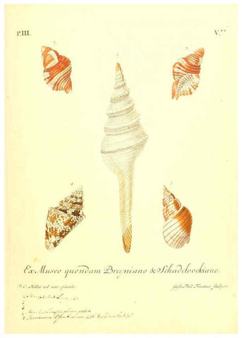 Reproducción/Reproduction 6096636392: Vergnügen der Augen und des Gemüths. v.2 atlas. [Nuremberg :1757