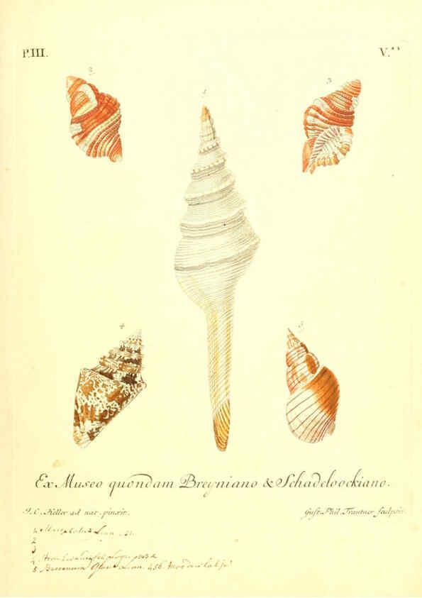 Reproducción/Reproduction 6096636392: Vergnügen der Augen und des Gemüths. v.2 atlas. [Nuremberg :1757