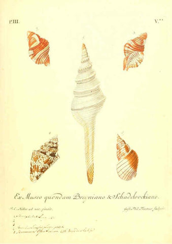 Reproducción/Reproduction 6096636392: Vergnügen der Augen und des Gemüths. v.2 atlas. [Nuremberg :1757