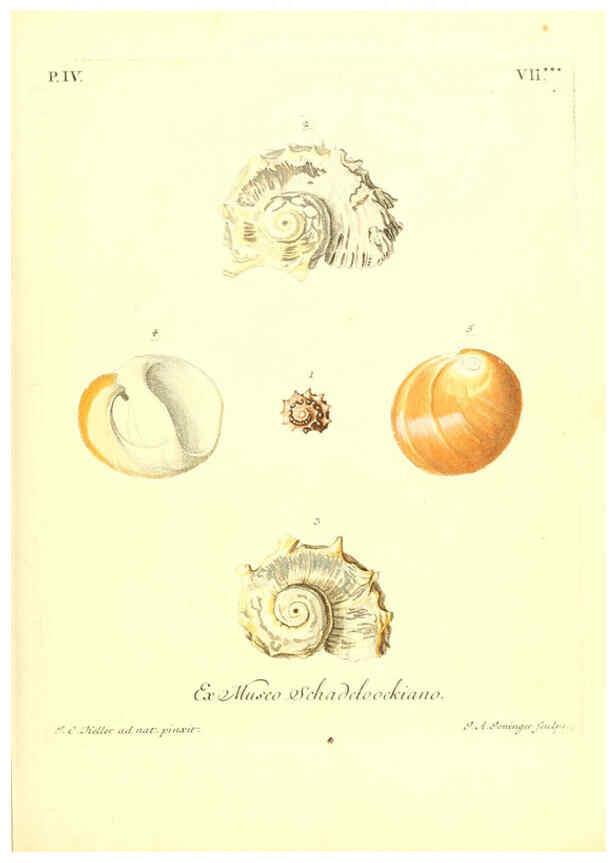 Reproducción/Reproduction 6096100125: Vergnügen der Augen und des Gemüths. v.2 atlas. [Nuremberg :1757