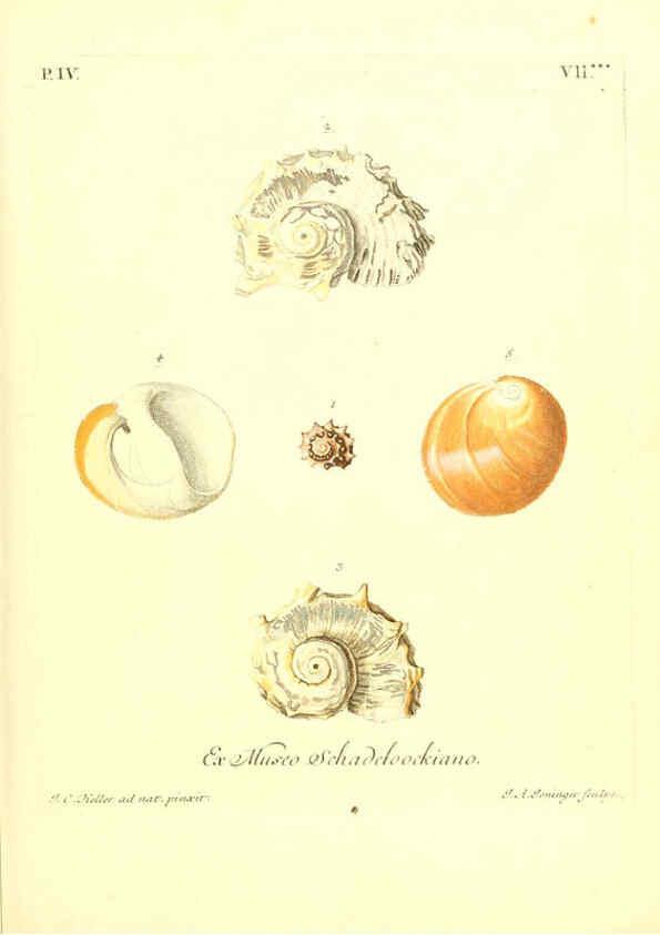 Reproducción/Reproduction 6096100125: Vergnügen der Augen und des Gemüths. v.2 atlas. [Nuremberg :1757