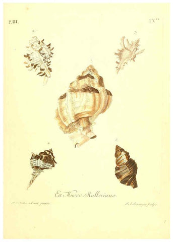 Reproducción/Reproduction 6096092757: Vergnügen der Augen und des Gemüths. v.2 atlas. [Nuremberg :1757