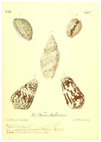 Reproducción/Reproduction 6096093647: Vergnügen der Augen und des Gemüths. v.2 atlas. [Nuremberg :1757