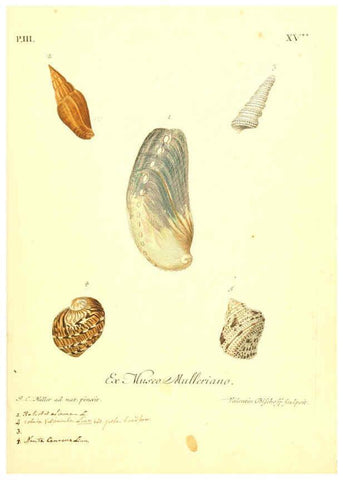 Reproducción/Reproduction 6096094509: Vergnügen der Augen und des Gemüths. v.2 atlas. [Nuremberg :1757