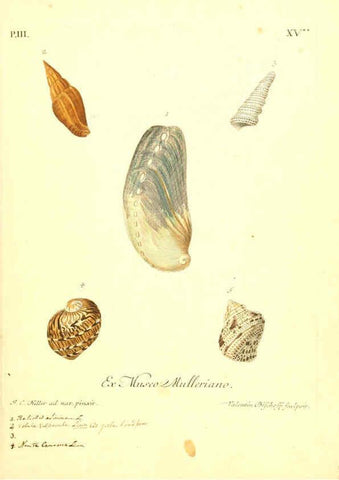 Reproducción/Reproduction 6096094509: Vergnügen der Augen und des Gemüths. v.2 atlas. [Nuremberg :1757