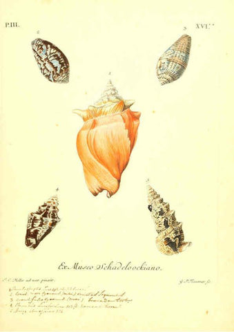 Reproducción/Reproduction 6096094993: Vergnügen der Augen und des Gemüths. v.2 atlas. [Nuremberg :1757