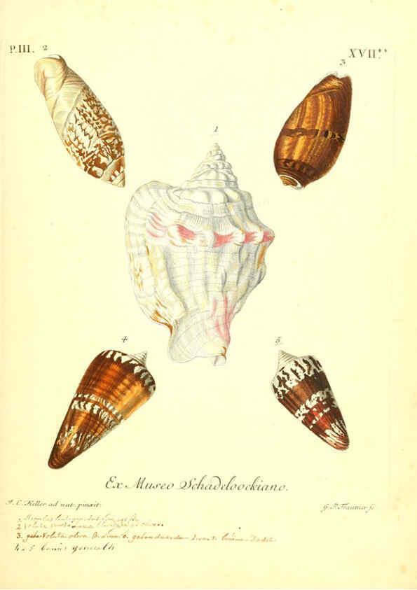 Reproducción/Reproduction 6096095211: Vergnügen der Augen und des Gemüths. v.2 atlas. [Nuremberg :1757