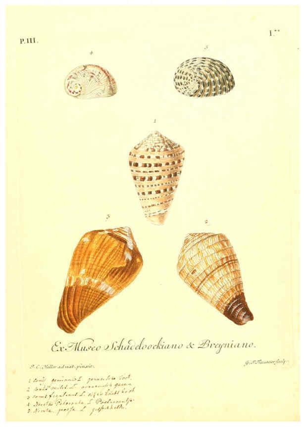 Reproducción/Reproduction 6096090803: Vergnügen der Augen und des Gemüths. v.2 atlas. [Nuremberg :1757