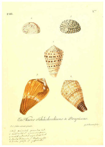 Reproducción/Reproduction 6096090803: Vergnügen der Augen und des Gemüths. v.2 atlas. [Nuremberg :1757