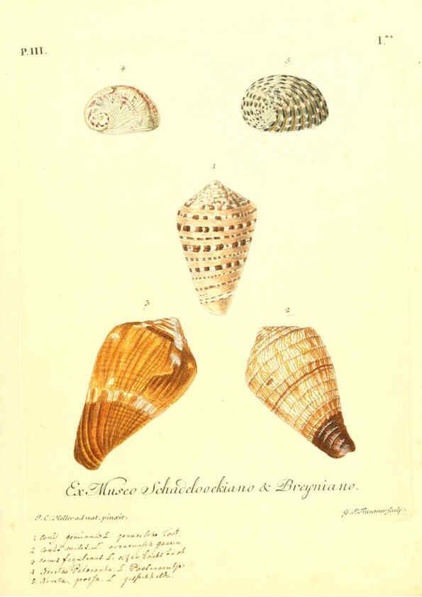 Reproducción/Reproduction 6096090803: Vergnügen der Augen und des Gemüths. v.2 atlas. [Nuremberg :1757