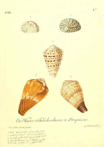 Reproducción/Reproduction 6096090803: Vergnügen der Augen und des Gemüths. v.2 atlas. [Nuremberg :1757