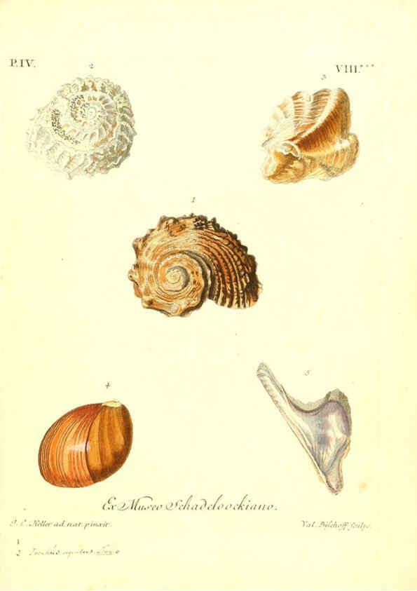 Reproducción/Reproduction 6096100333: Vergnügen der Augen und des Gemüths. v.2 atlas. [Nuremberg :1757
