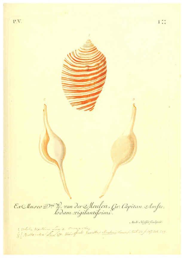 Reproducción/Reproduction 6096650554: Vergnügen der Augen und des Gemüths. v.2 atlas. [Nuremberg :1757