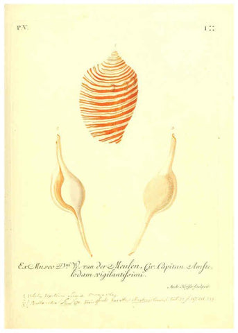Reproducción/Reproduction 6096650554: Vergnügen der Augen und des Gemüths. v.2 atlas. [Nuremberg :1757