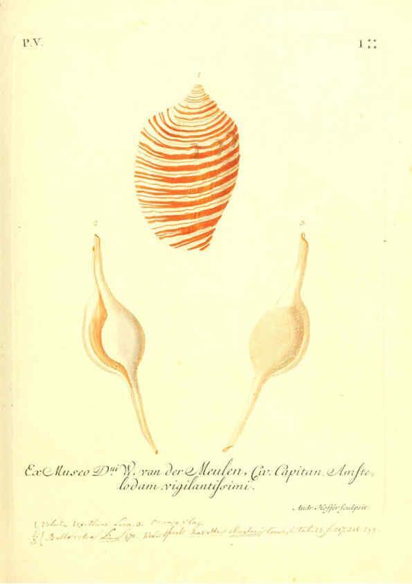 Reproducción/Reproduction 6096650554: Vergnügen der Augen und des Gemüths. v.2 atlas. [Nuremberg :1757