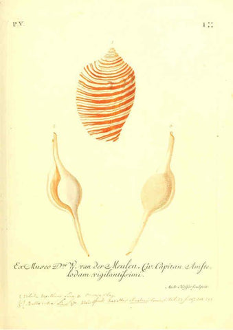 Reproducción/Reproduction 6096650554: Vergnügen der Augen und des Gemüths. v.2 atlas. [Nuremberg :1757