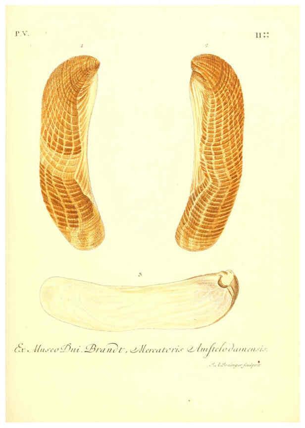 Reproducción/Reproduction 6096650798: Vergnügen der Augen und des Gemüths. v.2 atlas. [Nuremberg :1757