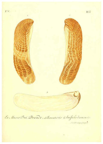 Reproducción/Reproduction 6096650798: Vergnügen der Augen und des Gemüths. v.2 atlas. [Nuremberg :1757