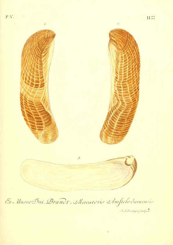 Reproducción/Reproduction 6096650798: Vergnügen der Augen und des Gemüths. v.2 atlas. [Nuremberg :1757
