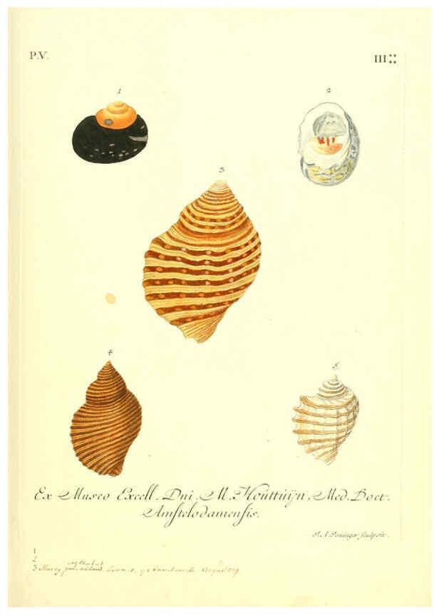 Reproducción/Reproduction 6096106501: Vergnügen der Augen und des Gemüths. v.2 atlas. [Nuremberg :1757