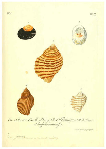 Reproducción/Reproduction 6096106501: Vergnügen der Augen und des Gemüths. v.2 atlas. [Nuremberg :1757
