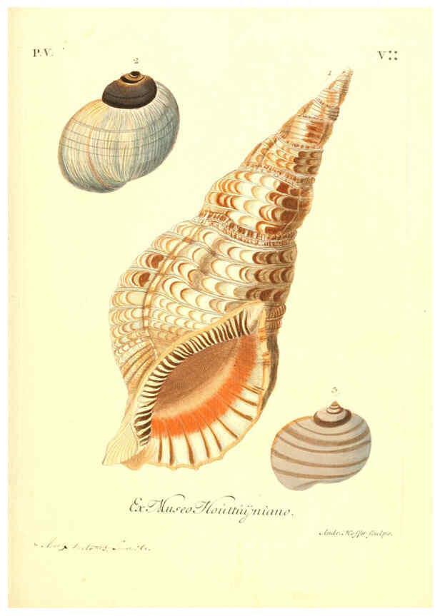 Reproducción/Reproduction 6096107103: Vergnügen der Augen und des Gemüths. v.2 atlas. [Nuremberg :1757