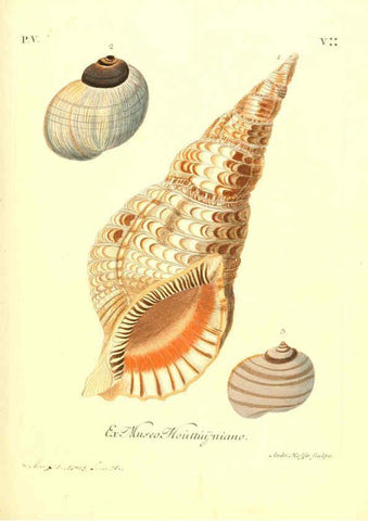Reproducción/Reproduction 6096107103: Vergnügen der Augen und des Gemüths. v.2 atlas. [Nuremberg :1757