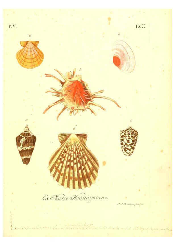 Reproducción/Reproduction 6096652728: Vergnügen der Augen und des Gemüths. v.2 atlas. [Nuremberg :1757