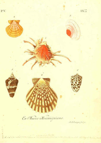 Reproducción/Reproduction 6096652728: Vergnügen der Augen und des Gemüths. v.2 atlas. [Nuremberg :1757