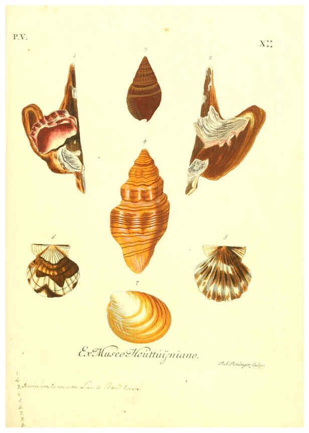 Reproducción/Reproduction 6096108271: Vergnügen der Augen und des Gemüths. v.2 atlas. [Nuremberg :1757