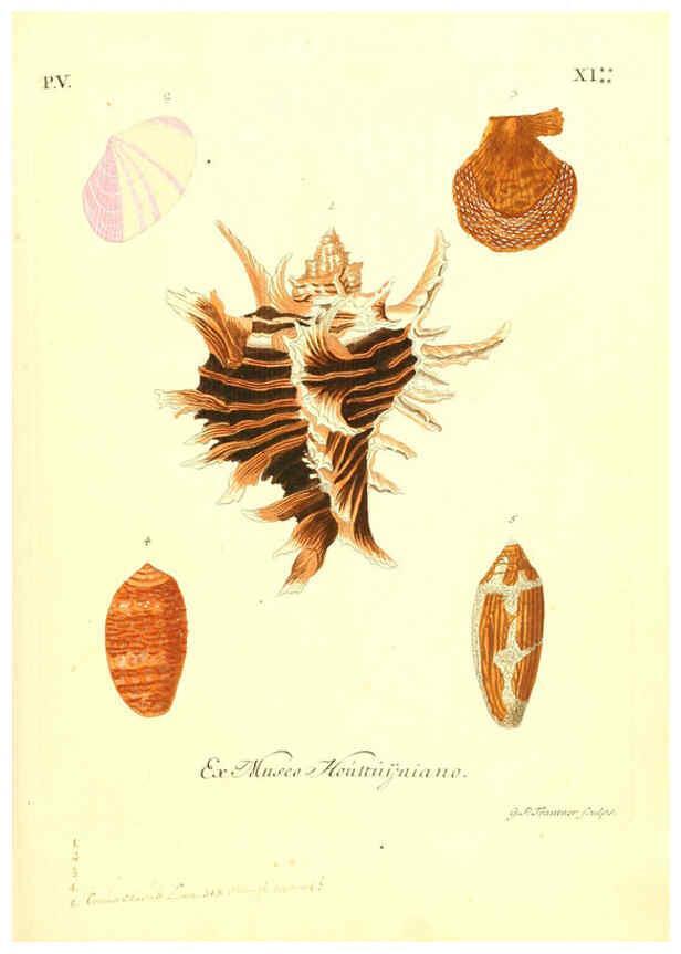 Reproducción/Reproduction 6096653174: Vergnügen der Augen und des Gemüths. v.2 atlas. [Nuremberg :1757