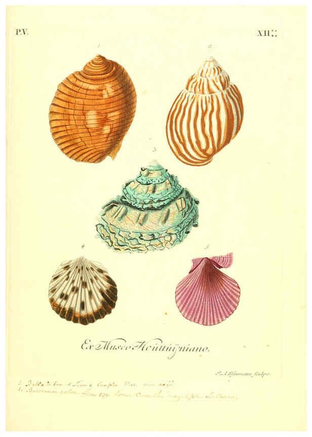 Reproducción/Reproduction 6096653404: Vergnügen der Augen und des Gemüths. v.2 atlas. [Nuremberg :1757