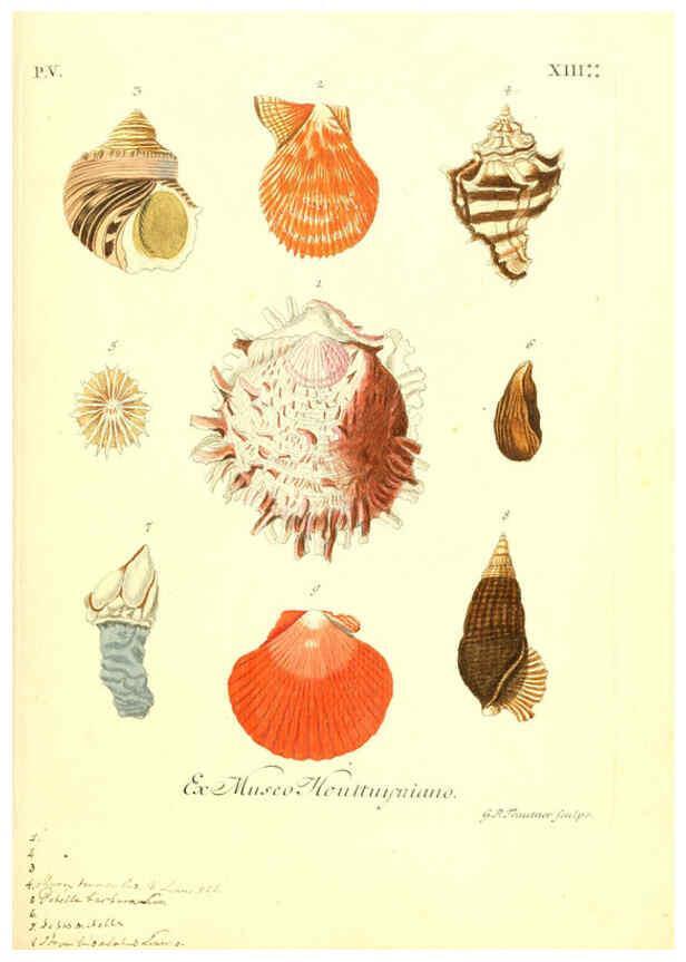 Reproducción/Reproduction 6096653844: Vergnügen der Augen und des Gemüths. v.2 atlas. [Nuremberg :1757