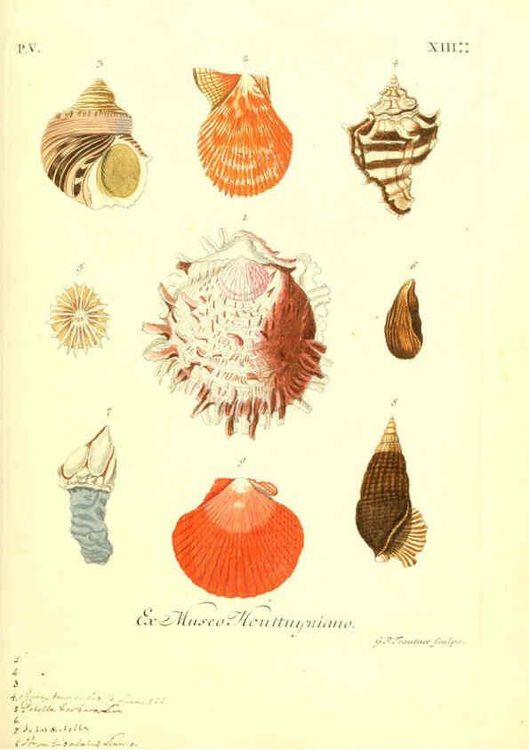 Reproducción/Reproduction 6096653844: Vergnügen der Augen und des Gemüths. v.2 atlas. [Nuremberg :1757
