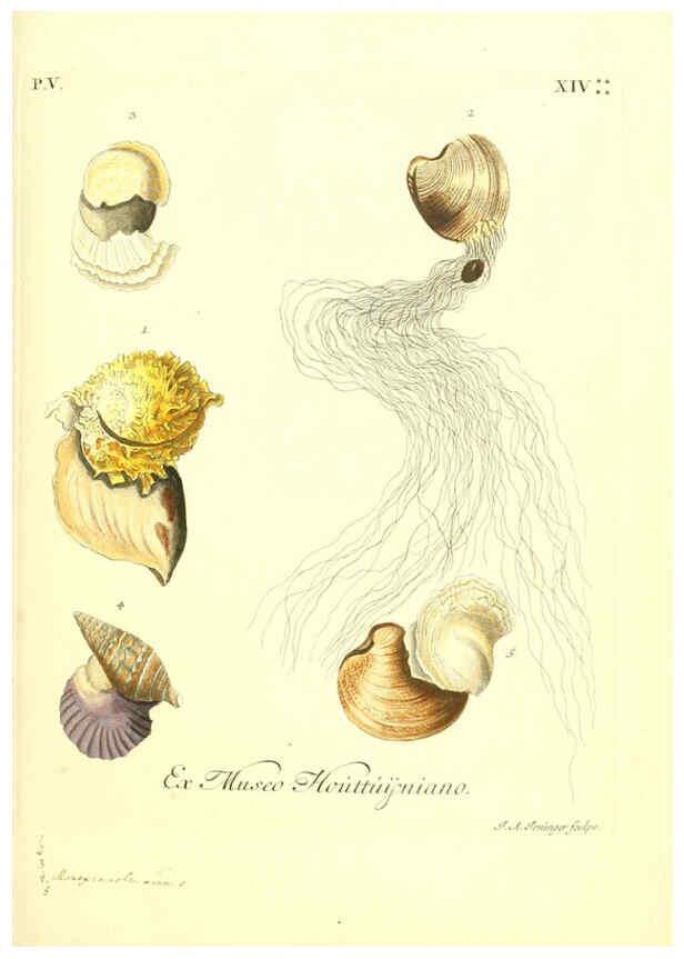 Reproducción/Reproduction 6096654146: Vergnügen der Augen und des Gemüths. v.2 atlas. [Nuremberg :1757