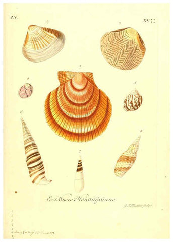 Reproducción/Reproduction 6096109733: Vergnügen der Augen und des Gemüths. v.2 atlas. [Nuremberg :1757