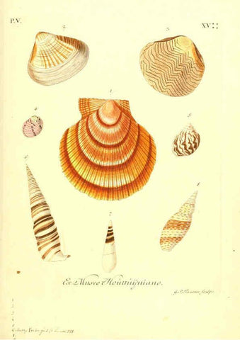 Reproducción/Reproduction 6096109733: Vergnügen der Augen und des Gemüths. v.2 atlas. [Nuremberg :1757