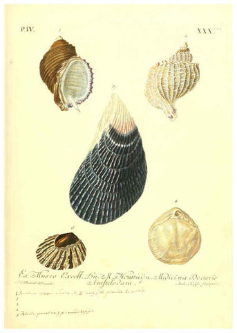 Reproducción/Reproduction 6096650218: Vergnügen der Augen und des Gemüths. v.2 atlas. [Nuremberg :1757