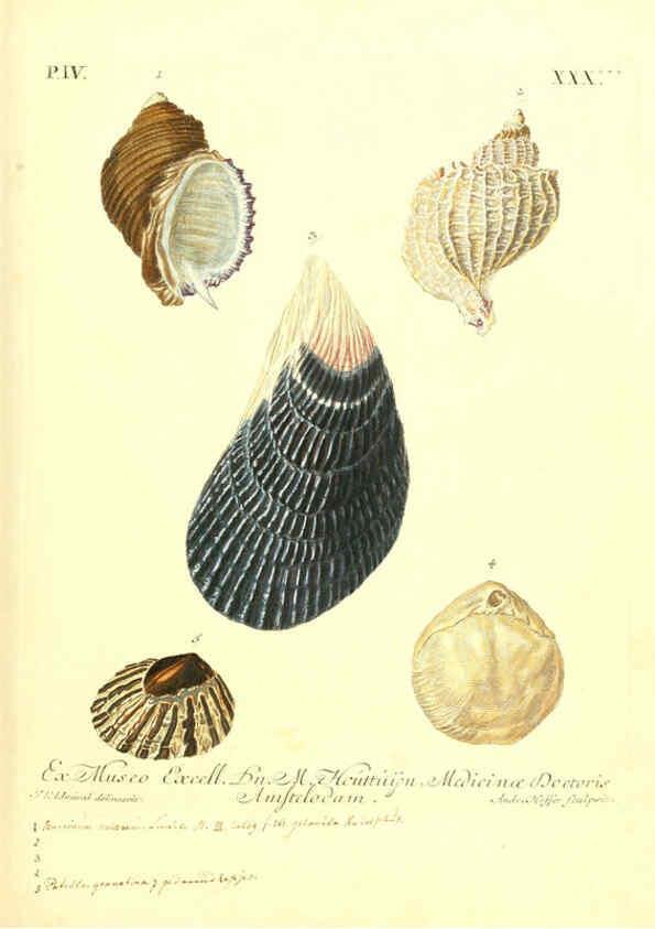 Reproducción/Reproduction 6096650218: Vergnügen der Augen und des Gemüths. v.2 atlas. [Nuremberg :1757