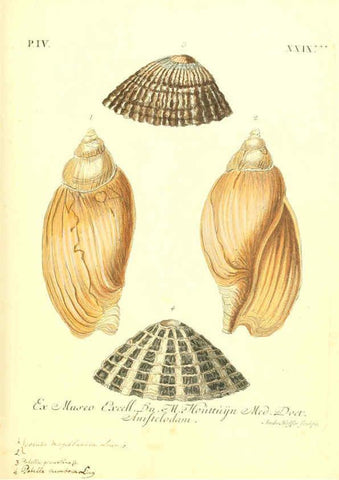 Reproducción/Reproduction 6096649964: Vergnügen der Augen und des Gemüths. v.2 atlas. [Nuremberg :1757