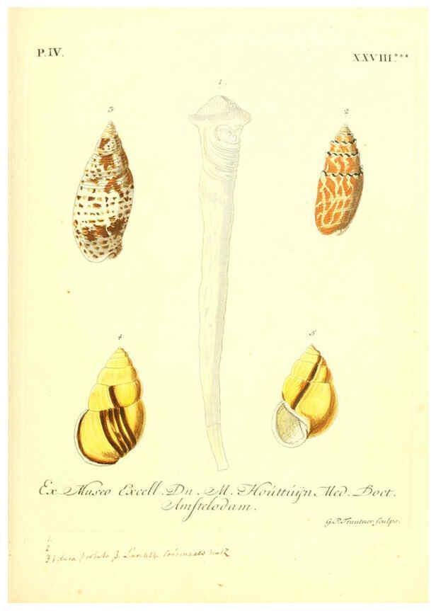 Reproducción/Reproduction 6096649652: Vergnügen der Augen und des Gemüths. v.2 atlas. [Nuremberg :1757