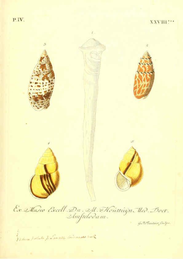 Reproducción/Reproduction 6096649652: Vergnügen der Augen und des Gemüths. v.2 atlas. [Nuremberg :1757